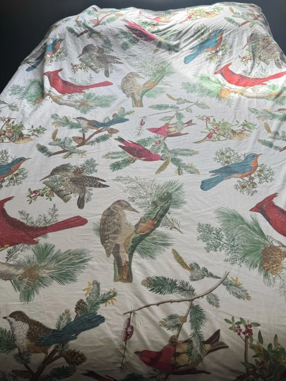 POTTERY BARN “Fauna Birds” Percale Cotton Colorful Duvet Cover Full/Queen